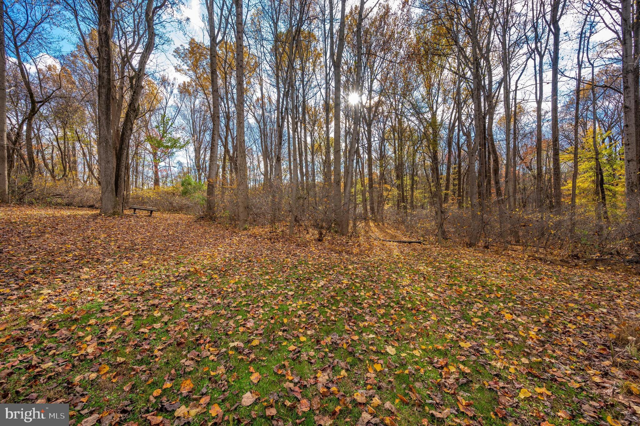 8089 Fingerboard Road Frederick, MD 21704 - Photo 66 of 70