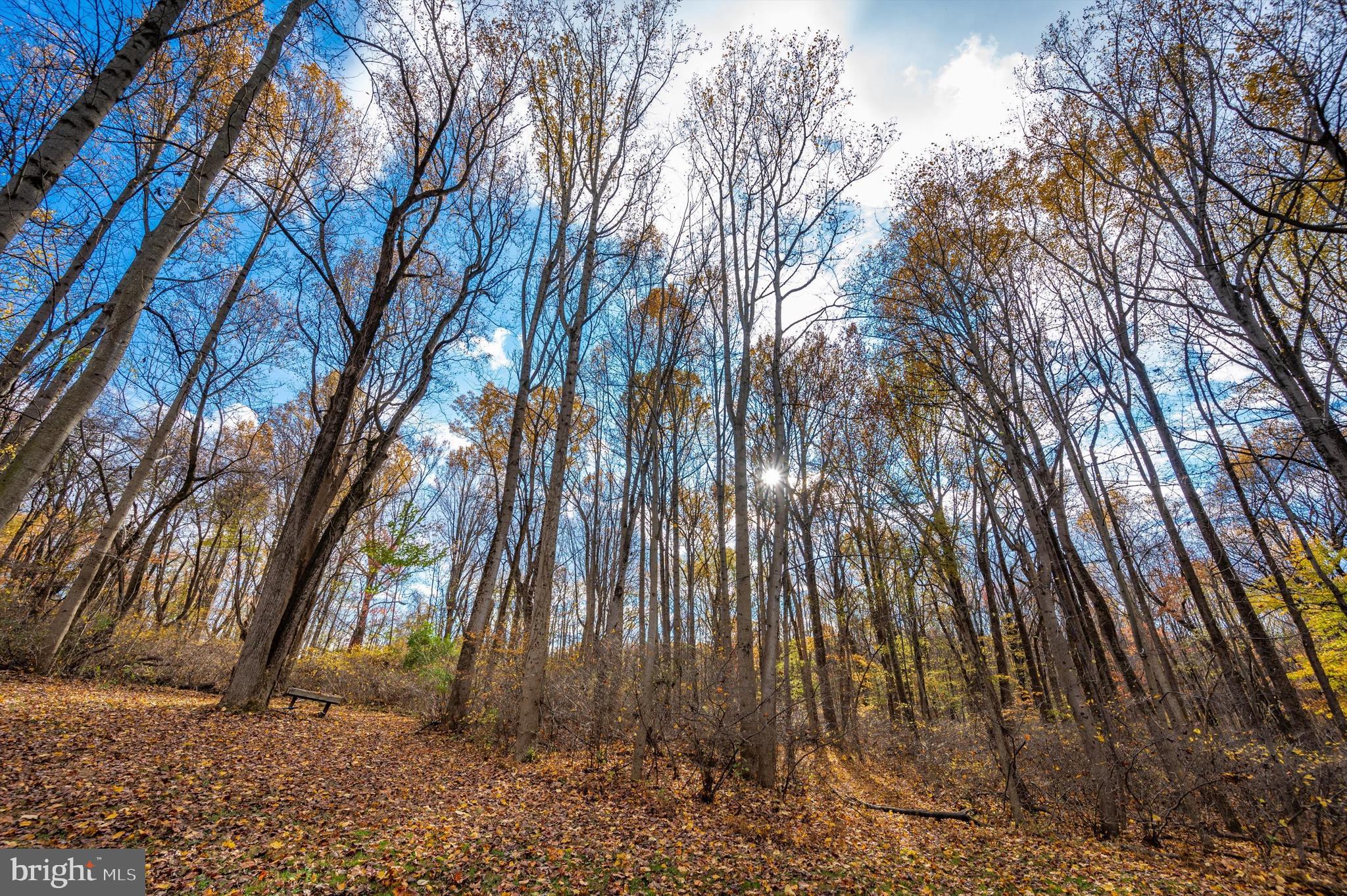 8089 Fingerboard Road Frederick, MD 21704 - Photo 67 of 70