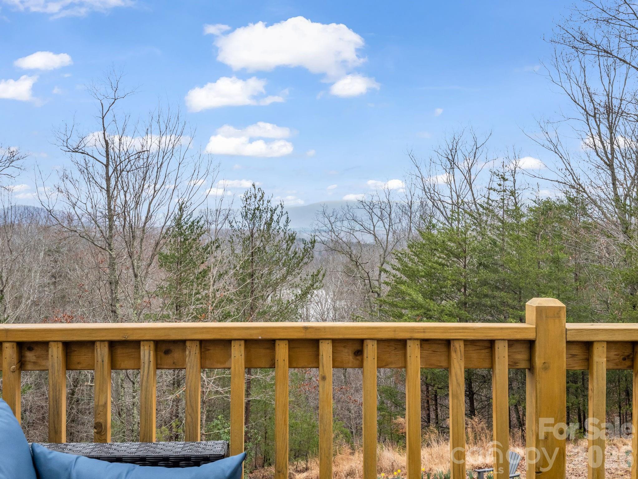 631 Mountain Parkway Mill Spring, NC 28756 - Photo 33 of 44
