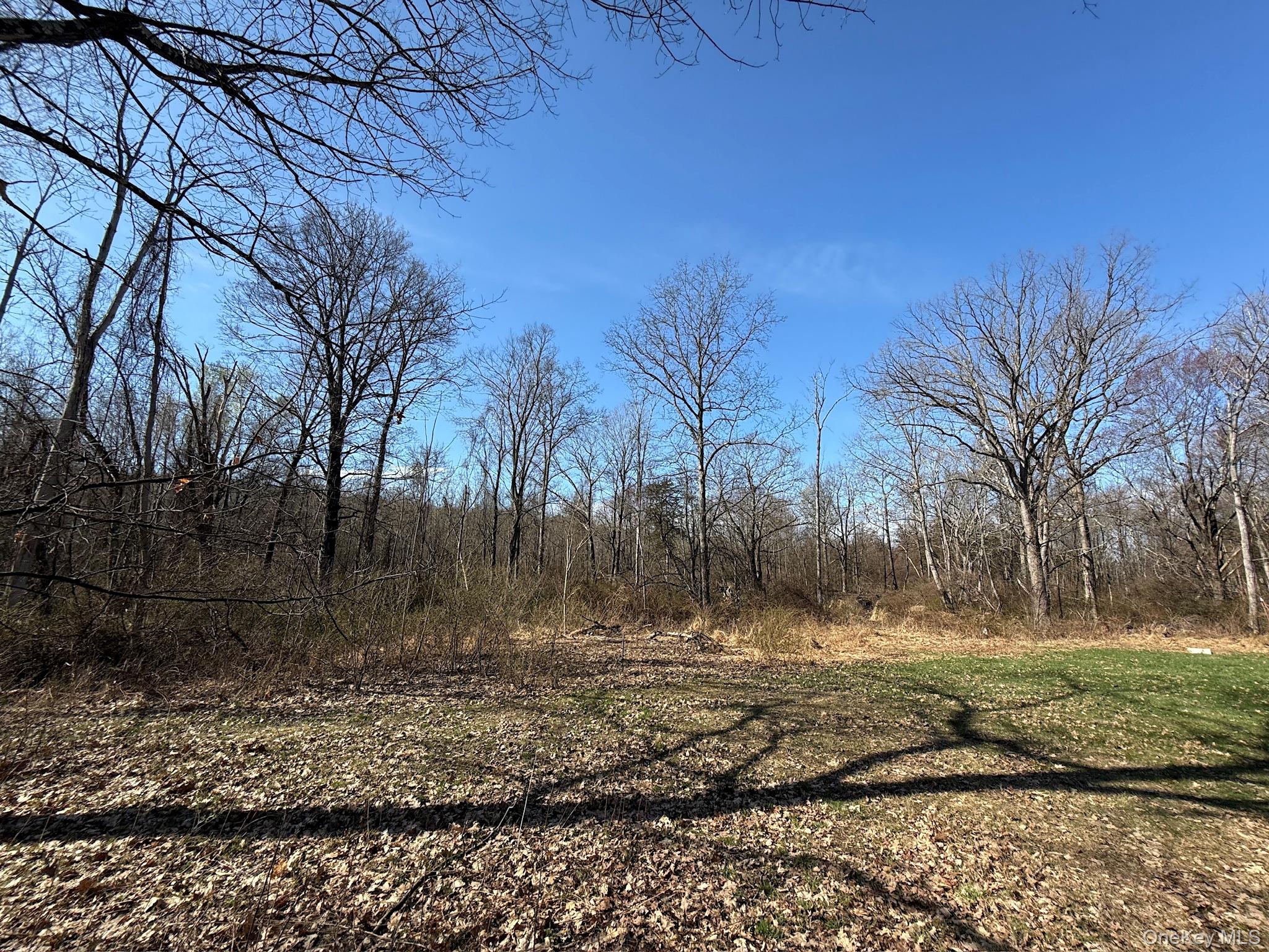 0 Lockwood And Schuderhook Road Hudson, NY 12534 - Photo 2 of 3