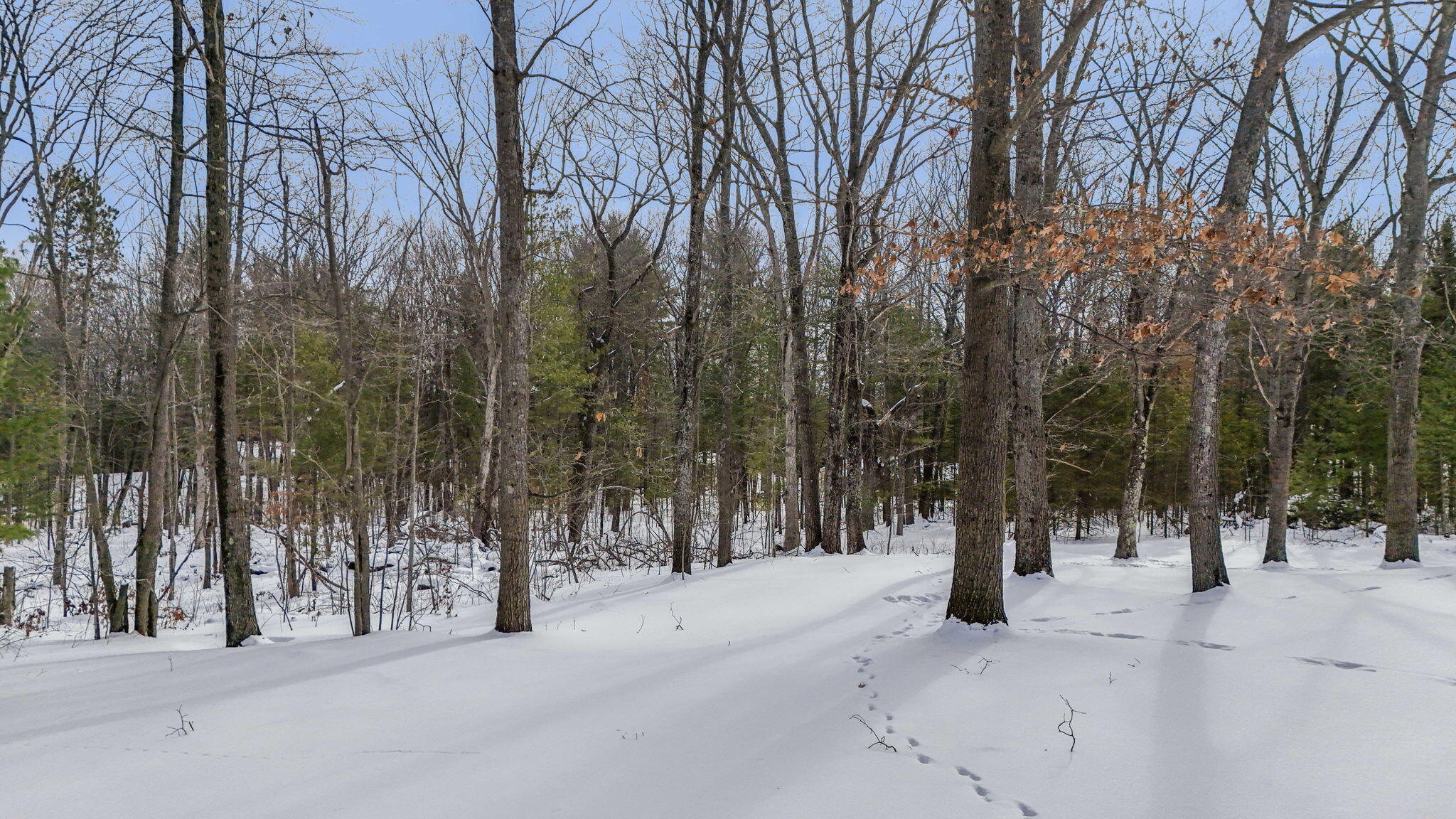 971 Ranch Road Indian River, MI 49749 - Photo 40 of 51 Gallery Image 40