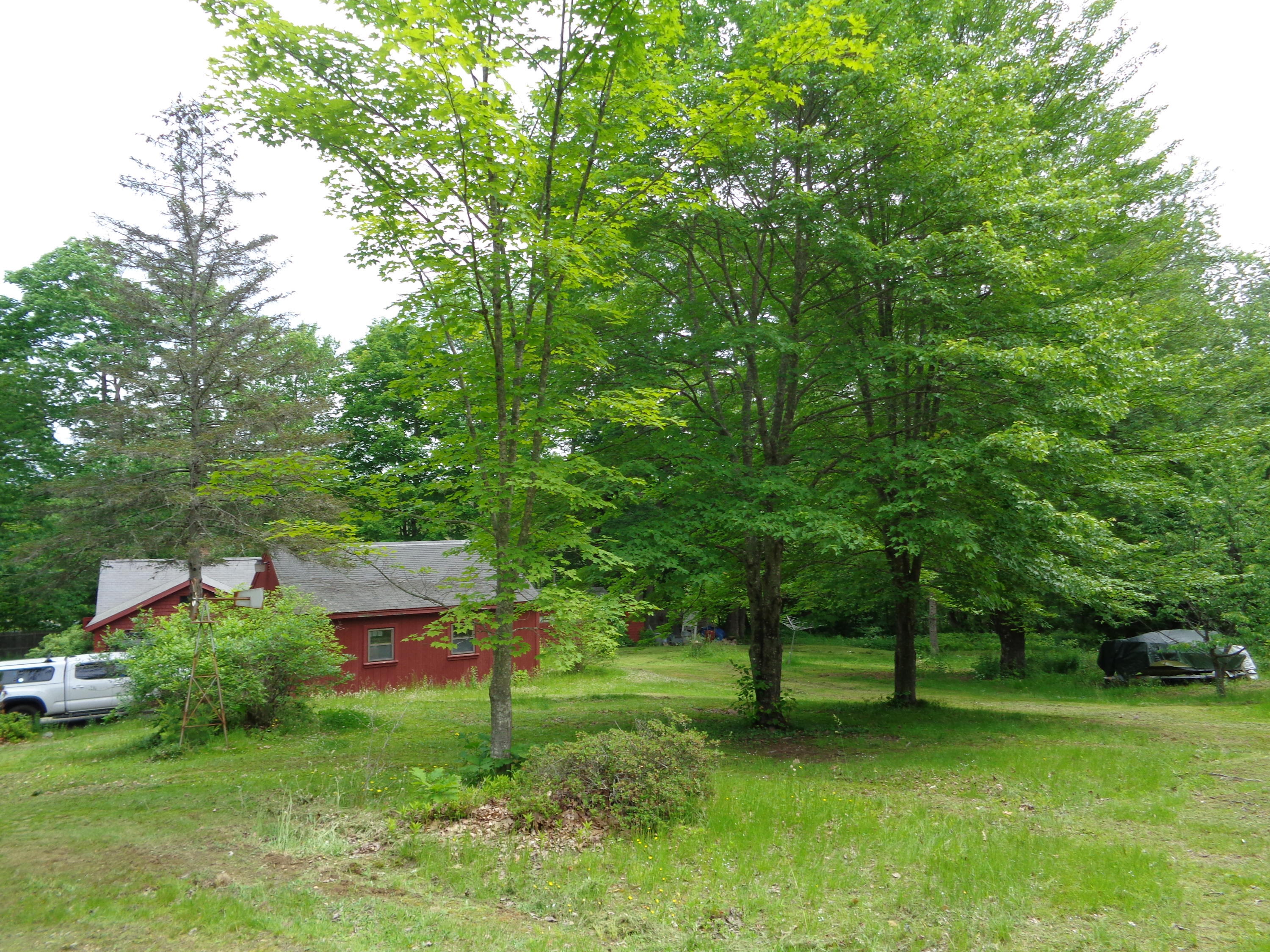 236 Old Bath Road Wiscasset, ME 04578 - Photo 9 of 24 looking back from yard