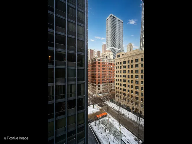 $259,900 | 910 North Lake Shore Drive, Unit 815, Chicago, IL 60611