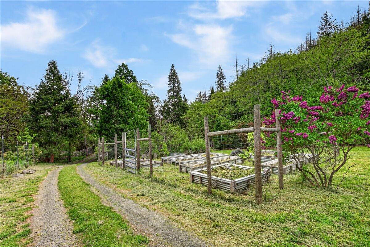 1848 Anderson Creek Road Talent, OR 97540 - Photo 49 of 64 58-9R9A1784