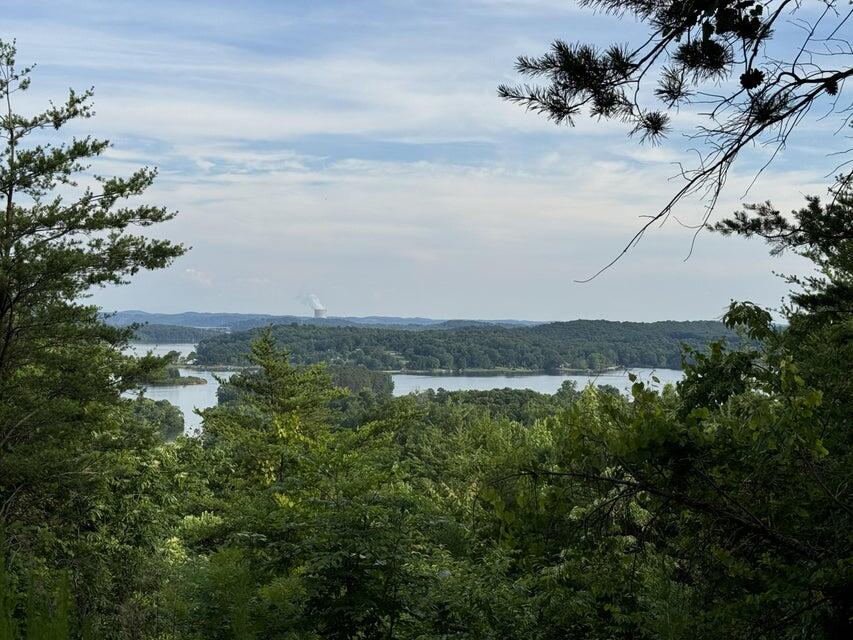 0 Piney Point Road Spring City, TN 37381 - Photo 1 of 12 20240614162246993819000000-o