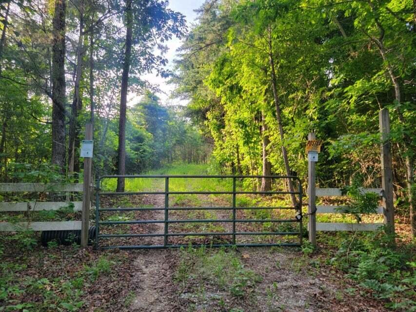 0 Piney Point Road Spring City, TN 37381 - Photo 11 of 12 20240614170510550428000000-o