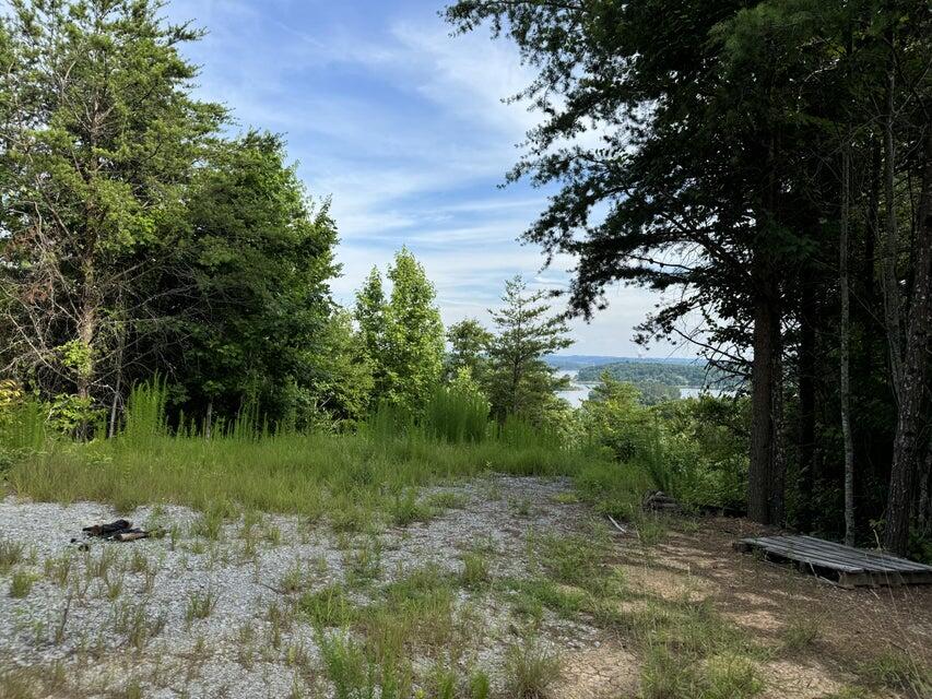 0 Piney Point Road Spring City, TN 37381 - Photo 2 of 12 20240614162223641656000000-o