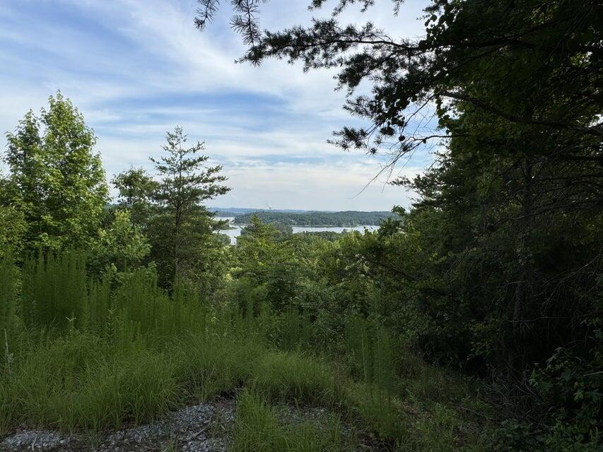 0 Piney Point Road Spring City, TN 37381 - Photo 3 of 12 20240614162304711422000000-o