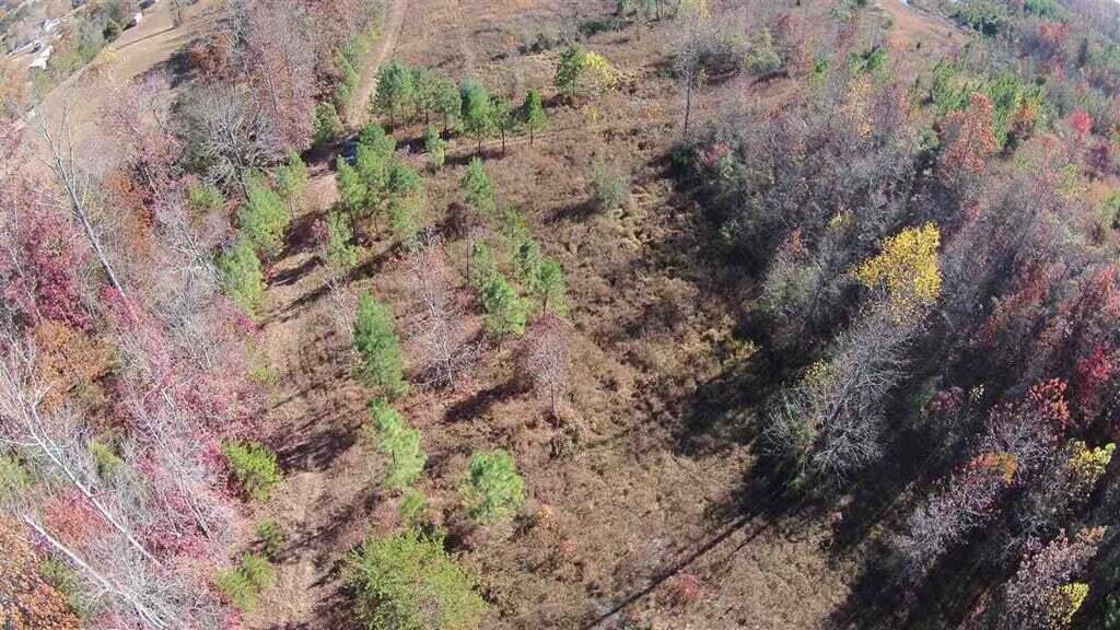 0 Piney Point Road Spring City, TN 37381 - Photo 10 of 12 20240614165812311463000000-o