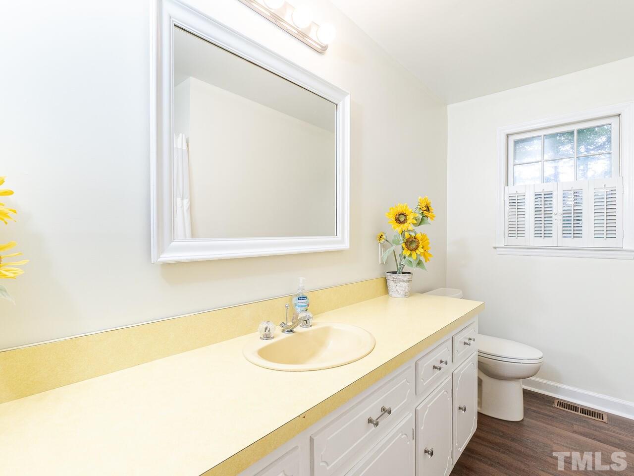 4313 Hopson Drive Raleigh, NC 27604 - Photo 16 of 30 a bathroom with a sink and a mirror