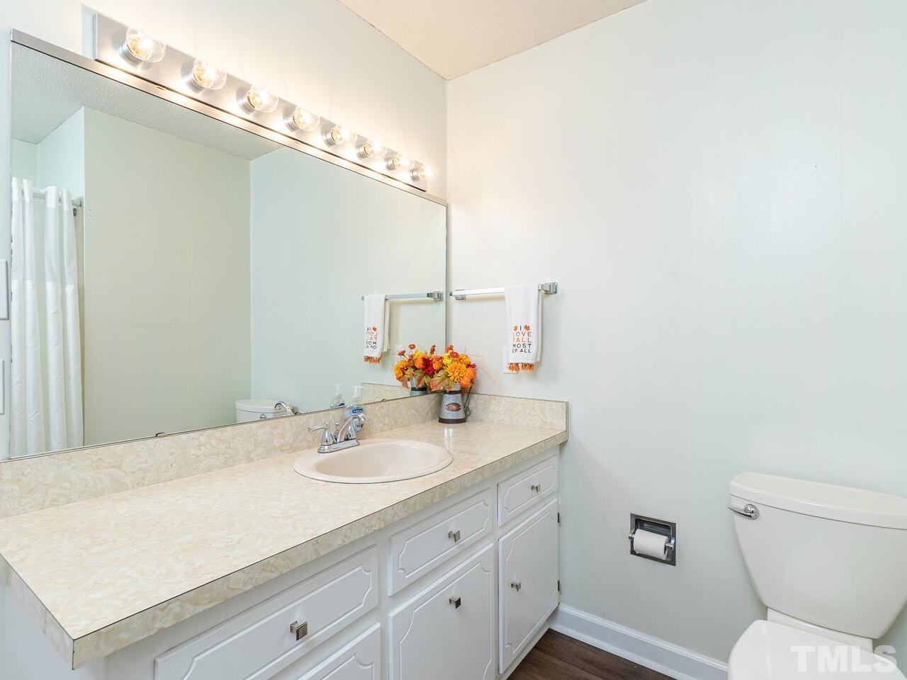 4313 Hopson Drive Raleigh, NC 27604 - Photo 21 of 30 a bathroom with a sink a toilet and mirror