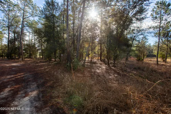 $10,000 | 0 Blazing Star Road, Melrose, FL 32666