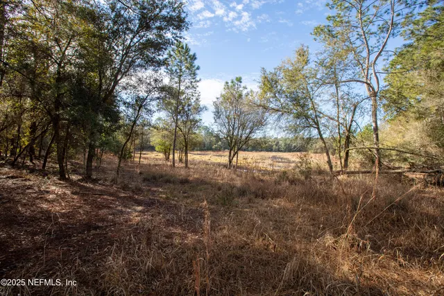 a view of yard with trees
