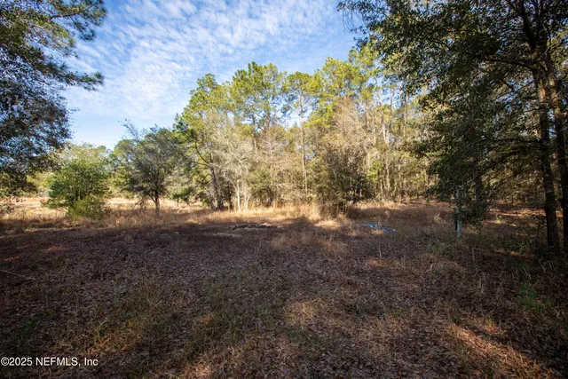 a view of a yard with a tree