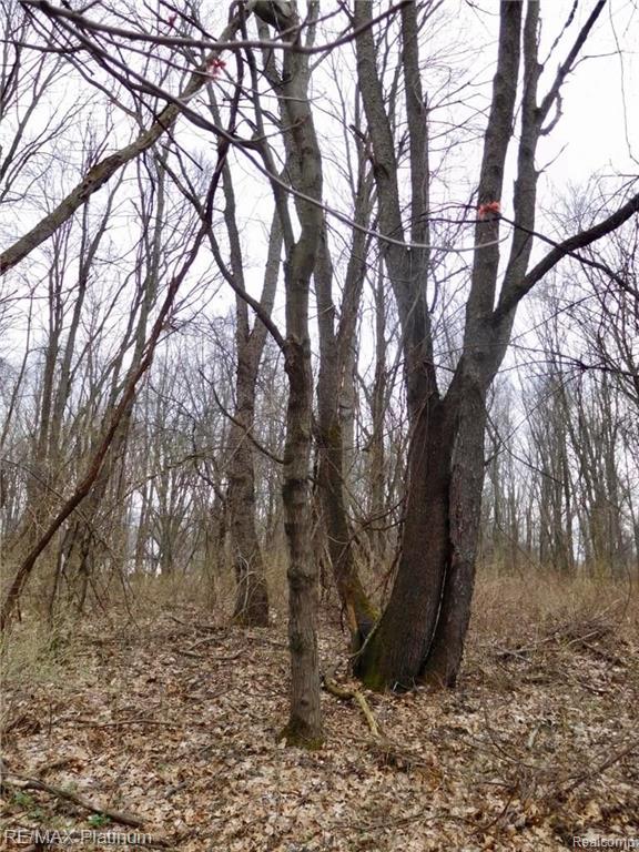 0 West Buno Road Milford, MI 48381 - Photo 14 of 28