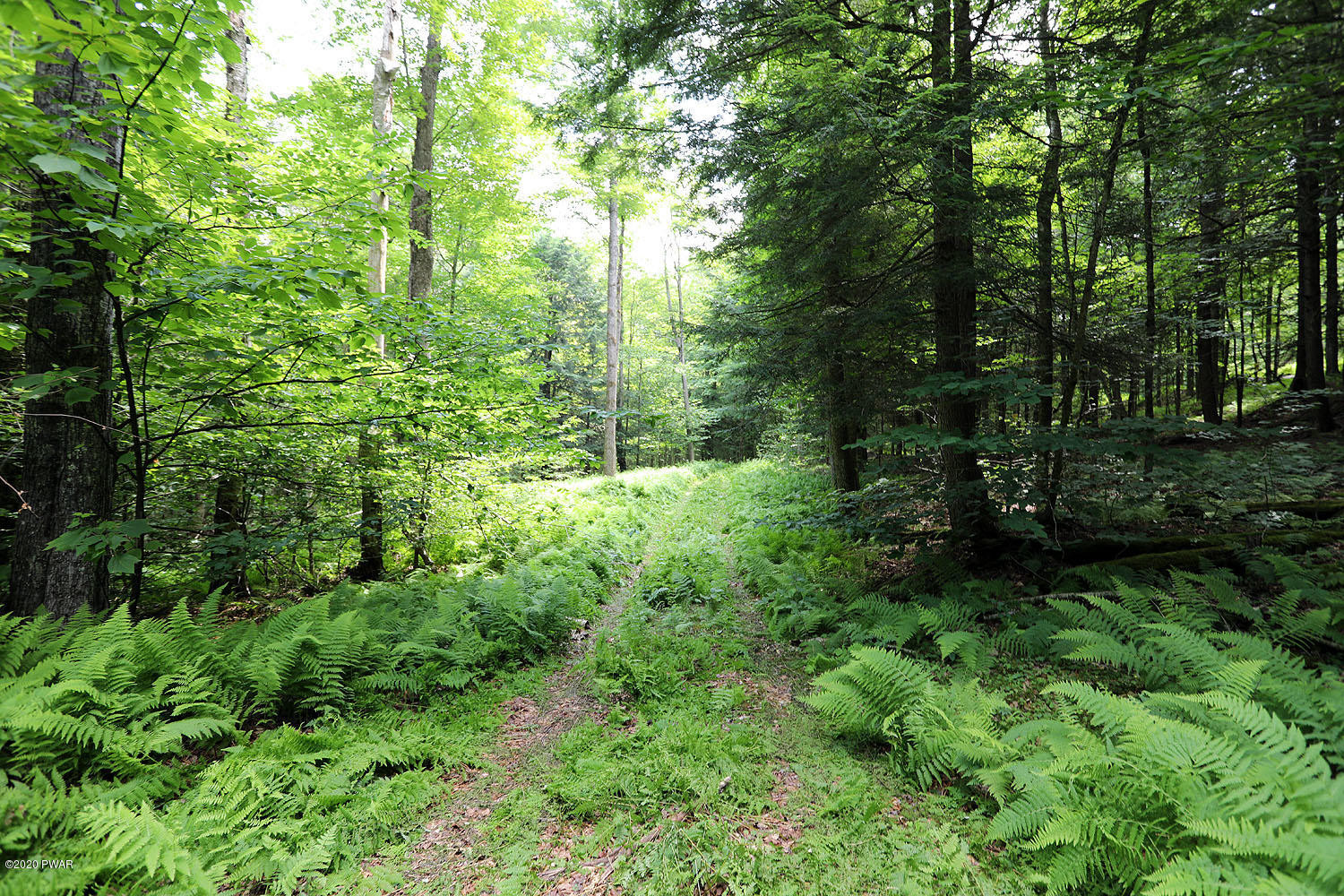 0 Minckler Mountain Road Equinunk, PA 18417 - Photo 28 of 39