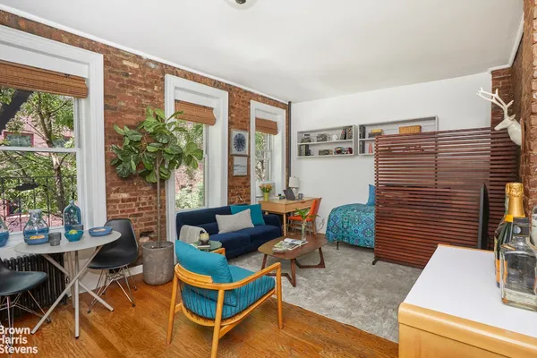 a living room with furniture and a potted plant