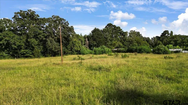 a view of yard with green space