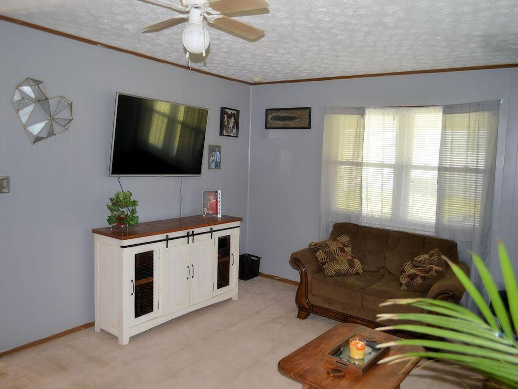 105 Springbrook Road Afton, TN 37616 - Photo 8 of 11 Photo 8