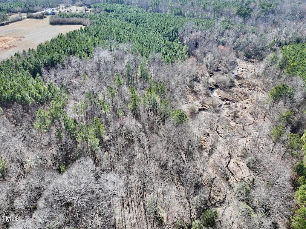 9 Peachtree Hills Road Spring Hope, NC 27882 - Photo 13 of 25 13