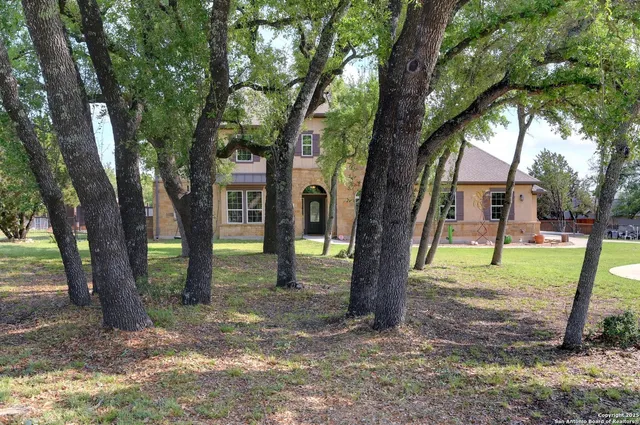 a view of a trees in the front of a house