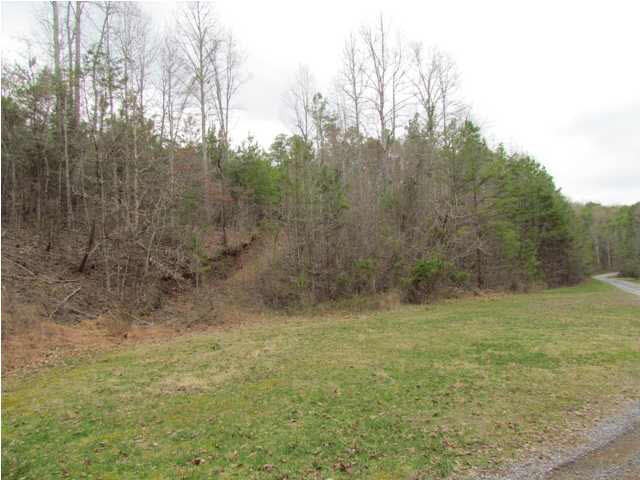 3195 Lower River Road Northwest Georgetown, TN 37336 - Photo 1 of 1 Gallery Image 1