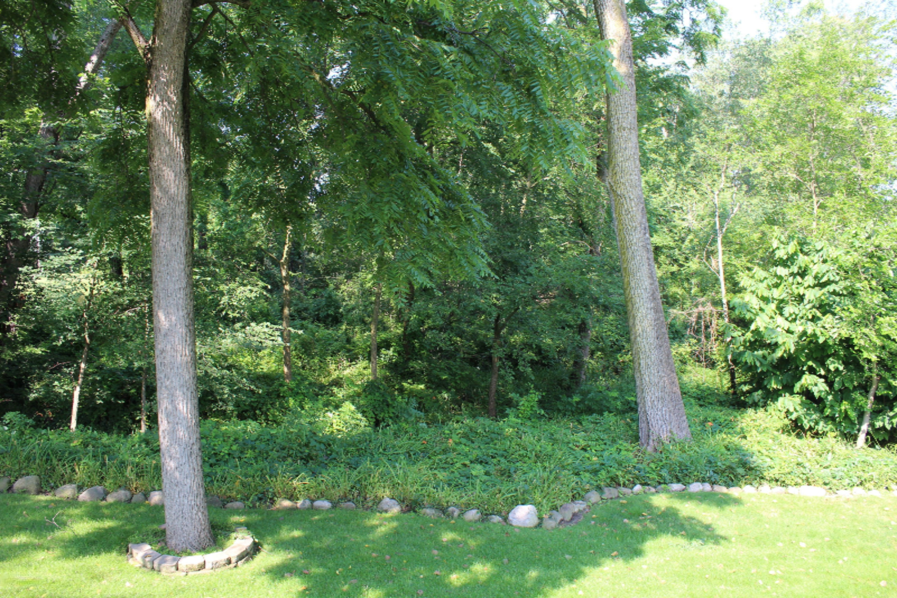 9930 Baldwin Road Bridgman, MI 49106 - Photo 25 of 26 IMG_0586