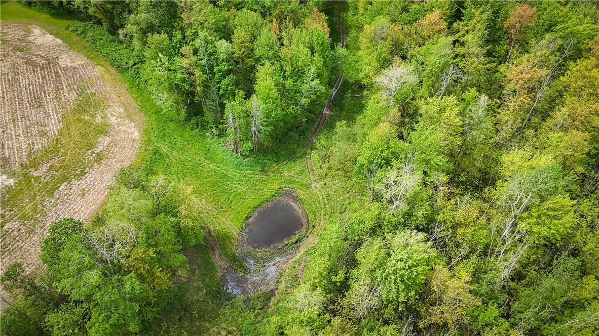 Gifford Road Hannibal, NY 13074 - Photo 14 of 50