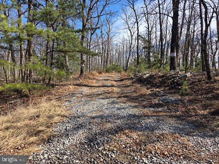 942 Wild Boar Road Augusta, WV 26704 - Photo 10 of 36