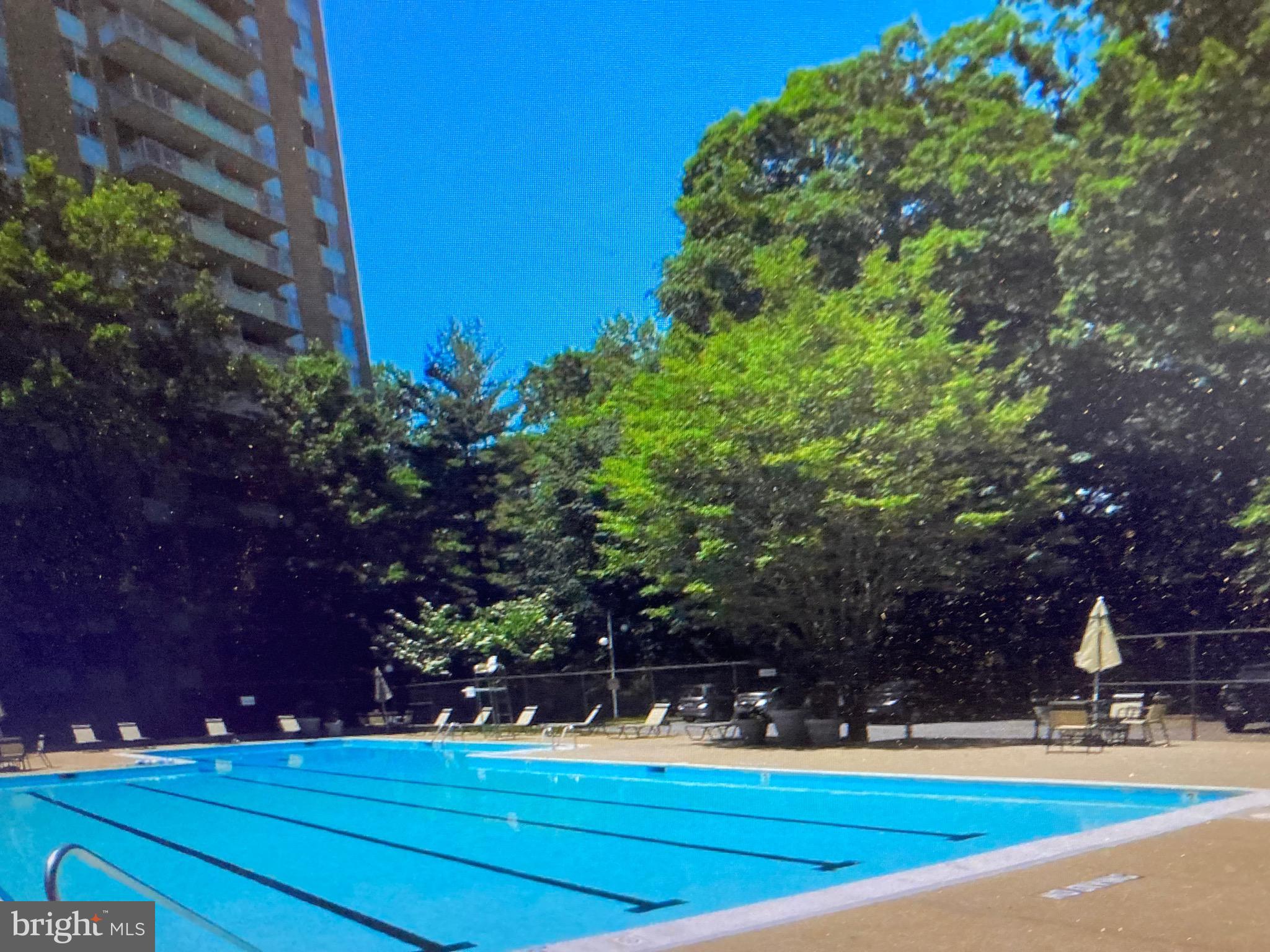 2939 Van Ness Street Northwest, Unit 731 Washington, DC 20008 - Photo 13 of 14 a view of a tall trees