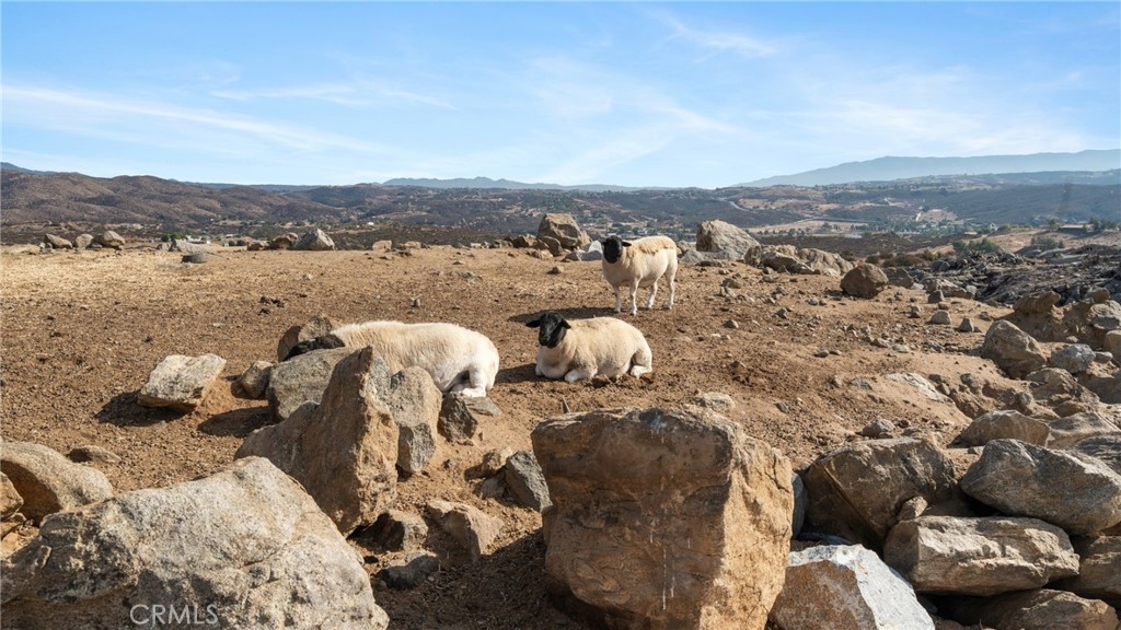 39551 Intrepid Road Temecula, CA 92592 - Photo 13 of 45