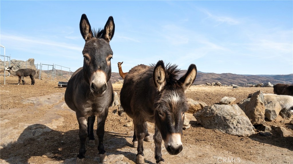 39551 Intrepid Road Temecula, CA 92592 - Photo 31 of 45