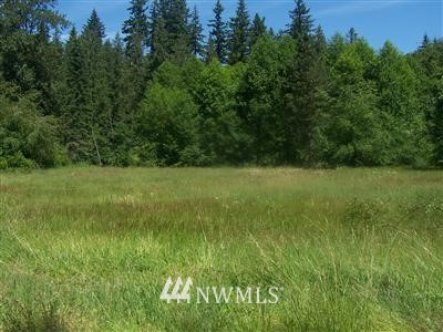 9006 Pilchuck Tree Farm Road Snohomish, WA 98290 - Photo 3 of 4 Gallery Image 3