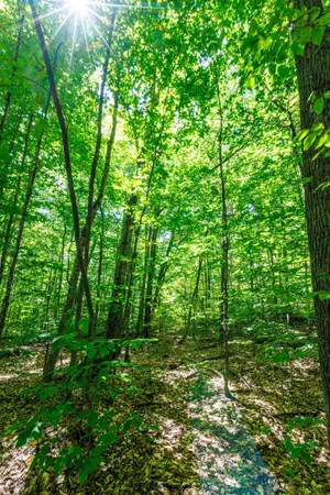 $250,000 | 14 Summit Drive, Franconia, NH 03580