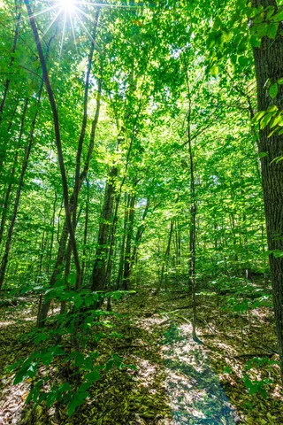 $250,000 | 14 Summit Drive, Franconia, NH 03580