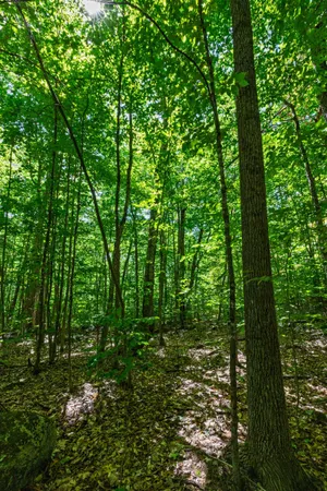$250,000 | 14 Summit Drive, Franconia, NH 03580