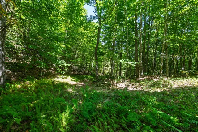 $250,000 | 14 Summit Drive, Franconia, NH 03580