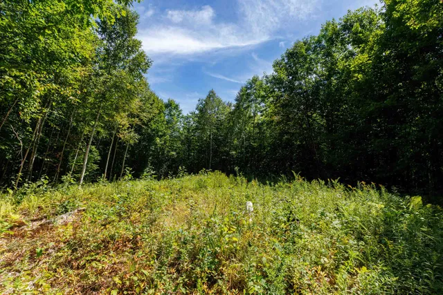 $250,000 | 14 Summit Drive, Franconia, NH 03580