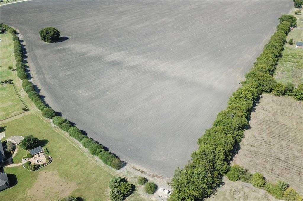 a view of a yard with plants