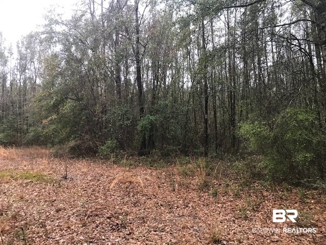 23588 Old Weekley Road Bay Minette, AL 36507 - Photo 22 of 30