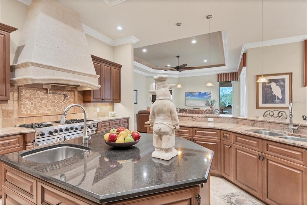 7007 Portmarnock Place Lakewood Ranch, FL 34202 - Photo 28 of 92 a kitchen with kitchen island a sink stove and cabinets