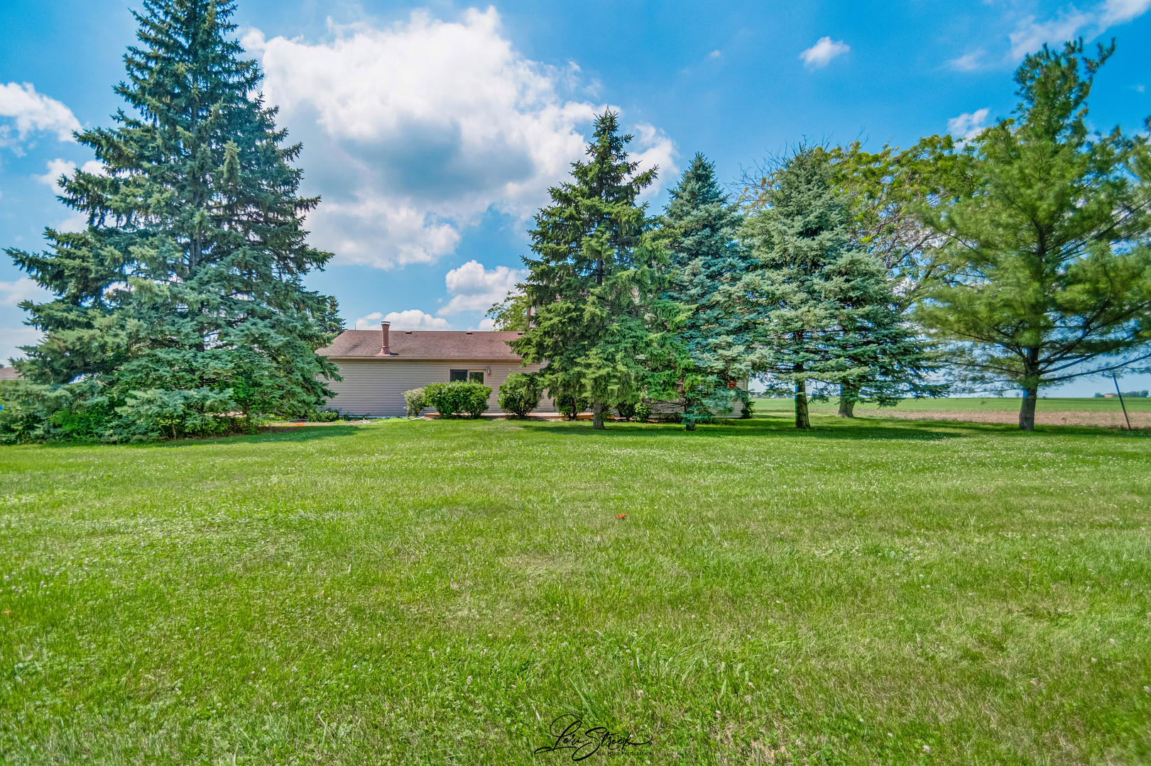 280 Park Chebanse, IL 60922 - Photo 8 of 27