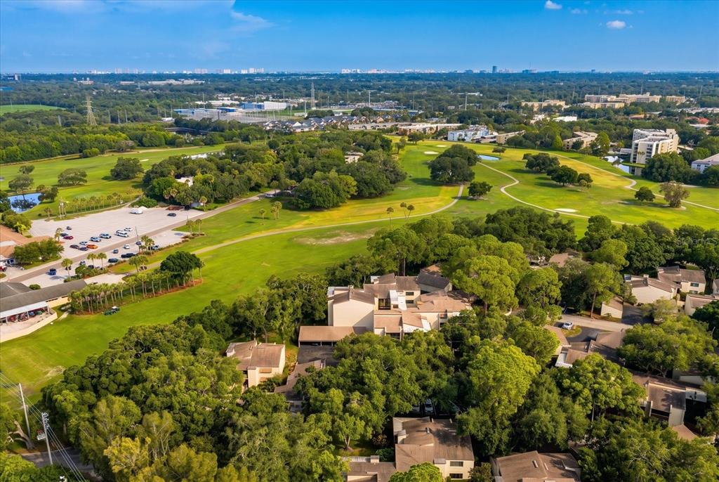 700 Starkey Road, Unit 624 Largo, FL 33771 - Photo 35 of 37 Gallery Image 35