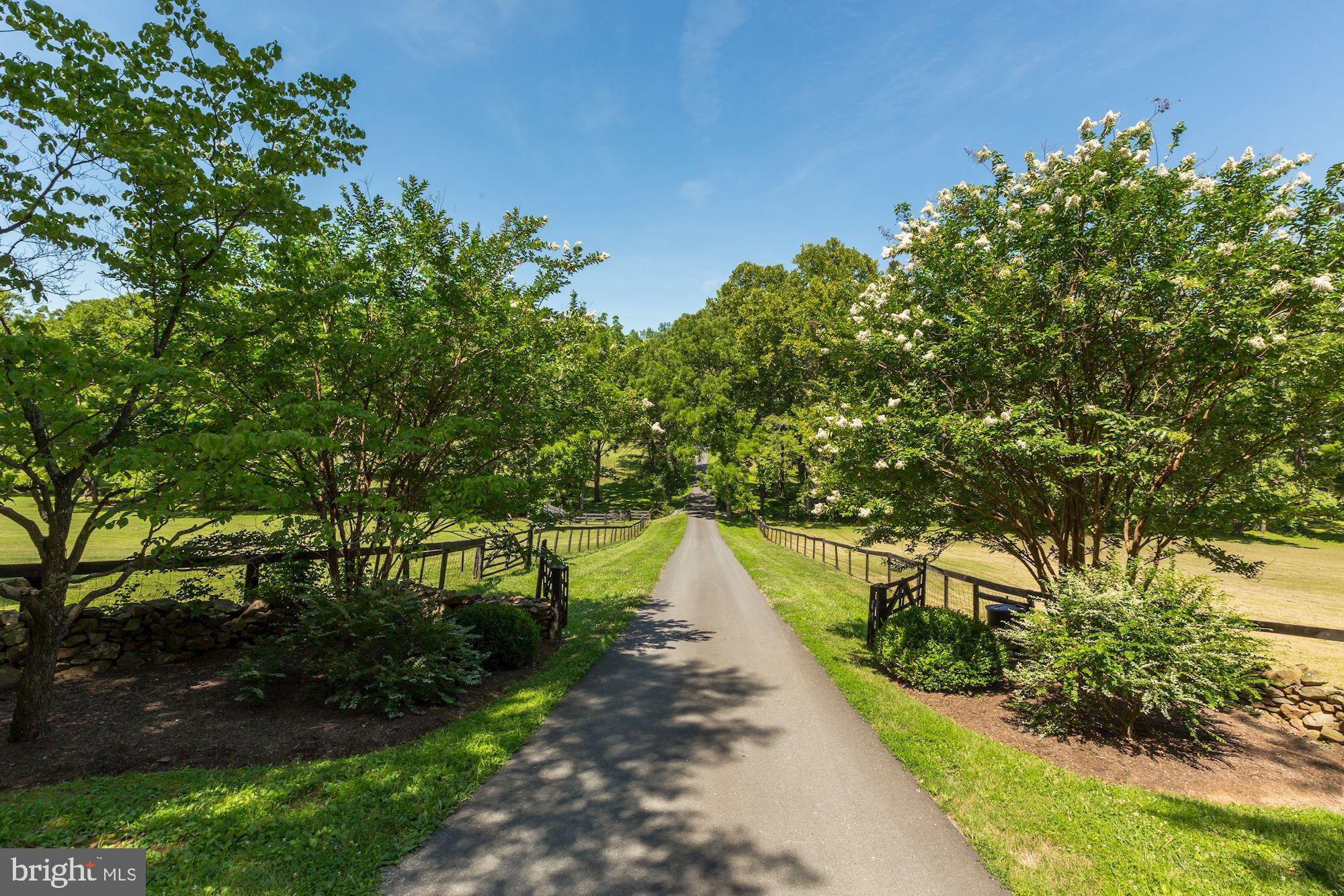 23009 Cobb House Road Middleburg, VA 20117 - Photo 3 of 50 Driveway leading up to home