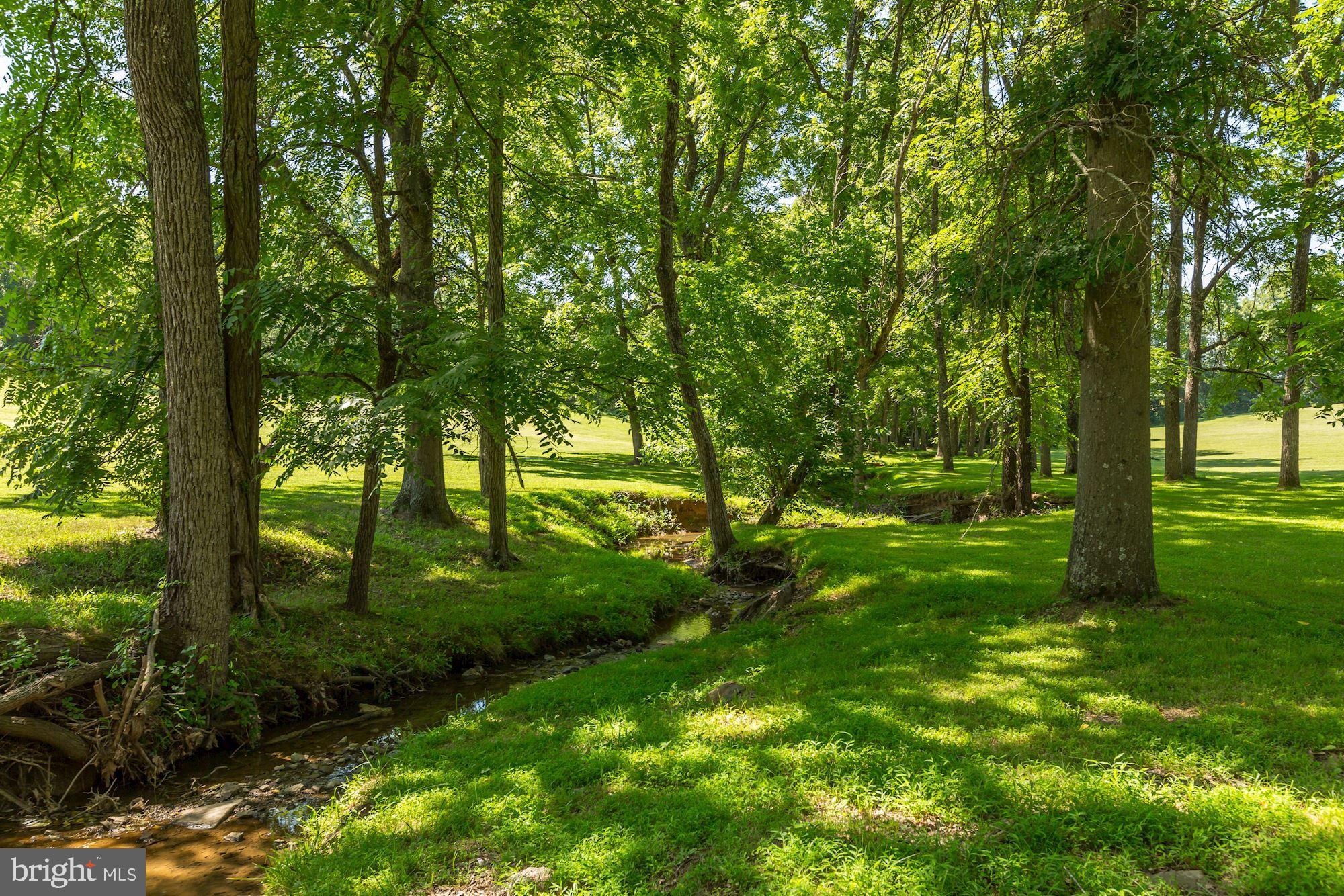 23009 Cobb House Road Middleburg, VA 20117 - Photo 4 of 50 Meandering creek on property