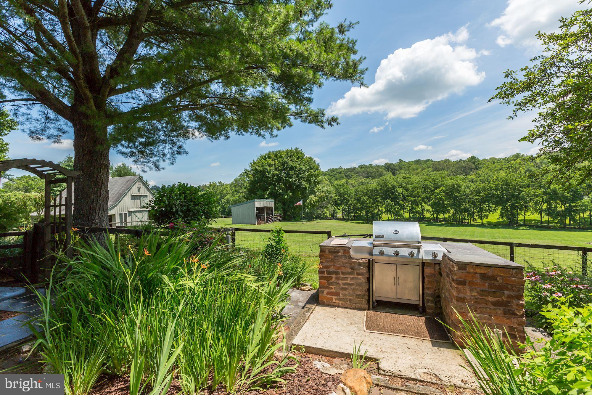 23009 Cobb House Road Middleburg, VA 20117 - Photo 43 of 50 Outside grill and patio area