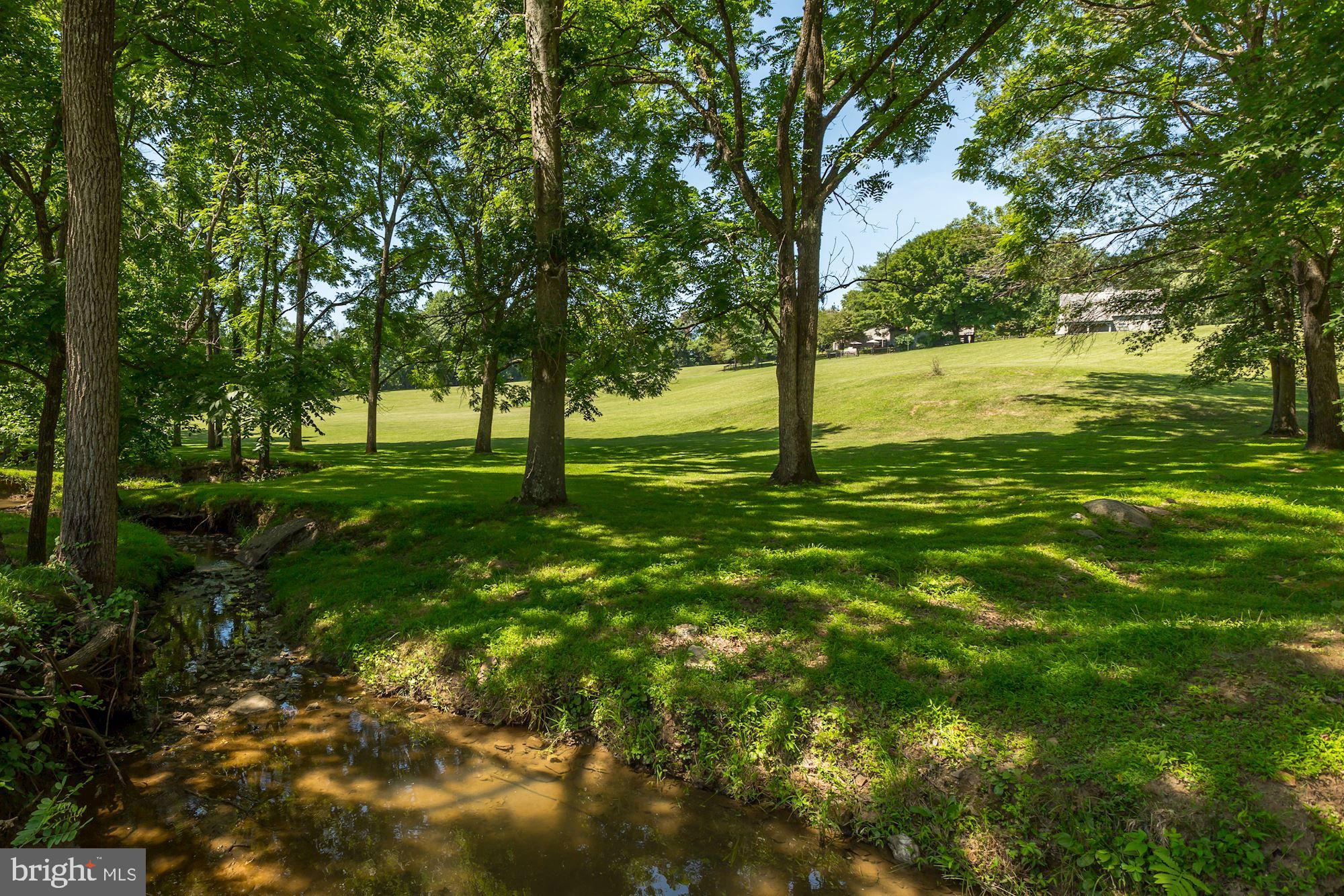 23009 Cobb House Road Middleburg, VA 20117 - Photo 46 of 50 Creek with view of house