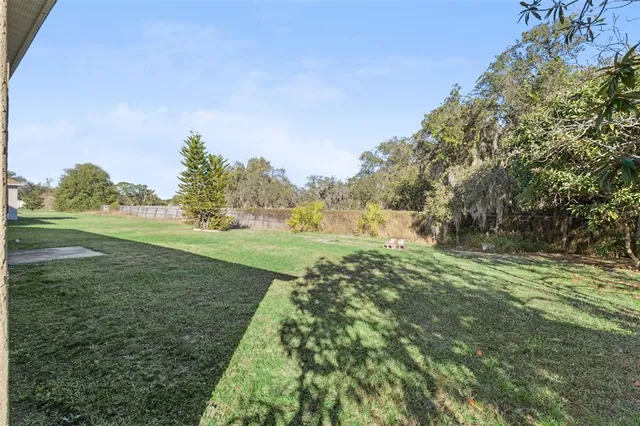 a view of a grassy field with trees