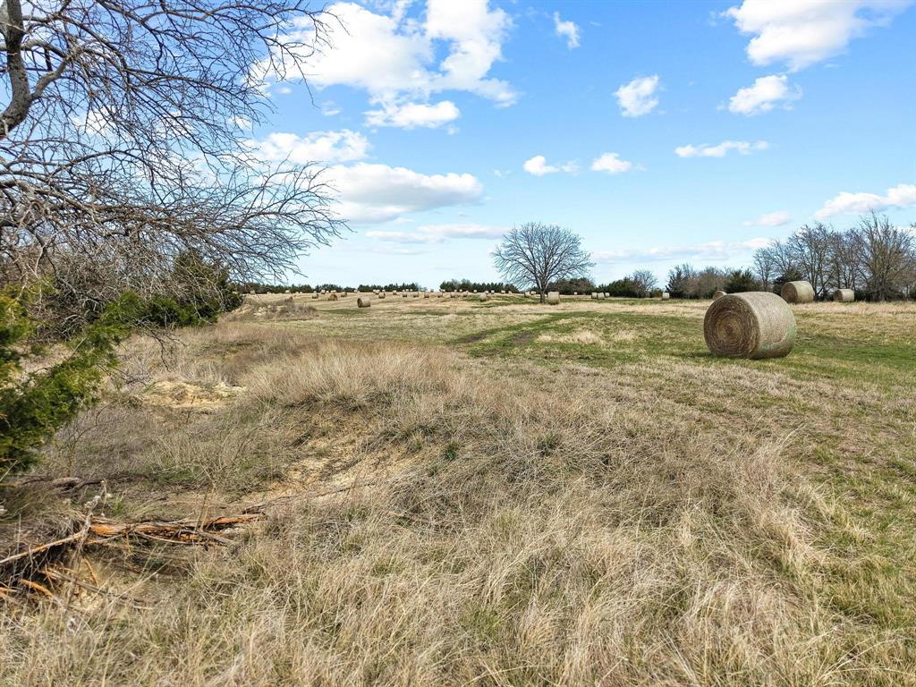 Tbd Crews Road Bells, TX 75414 - Photo 36 of 40 Gallery Image 36