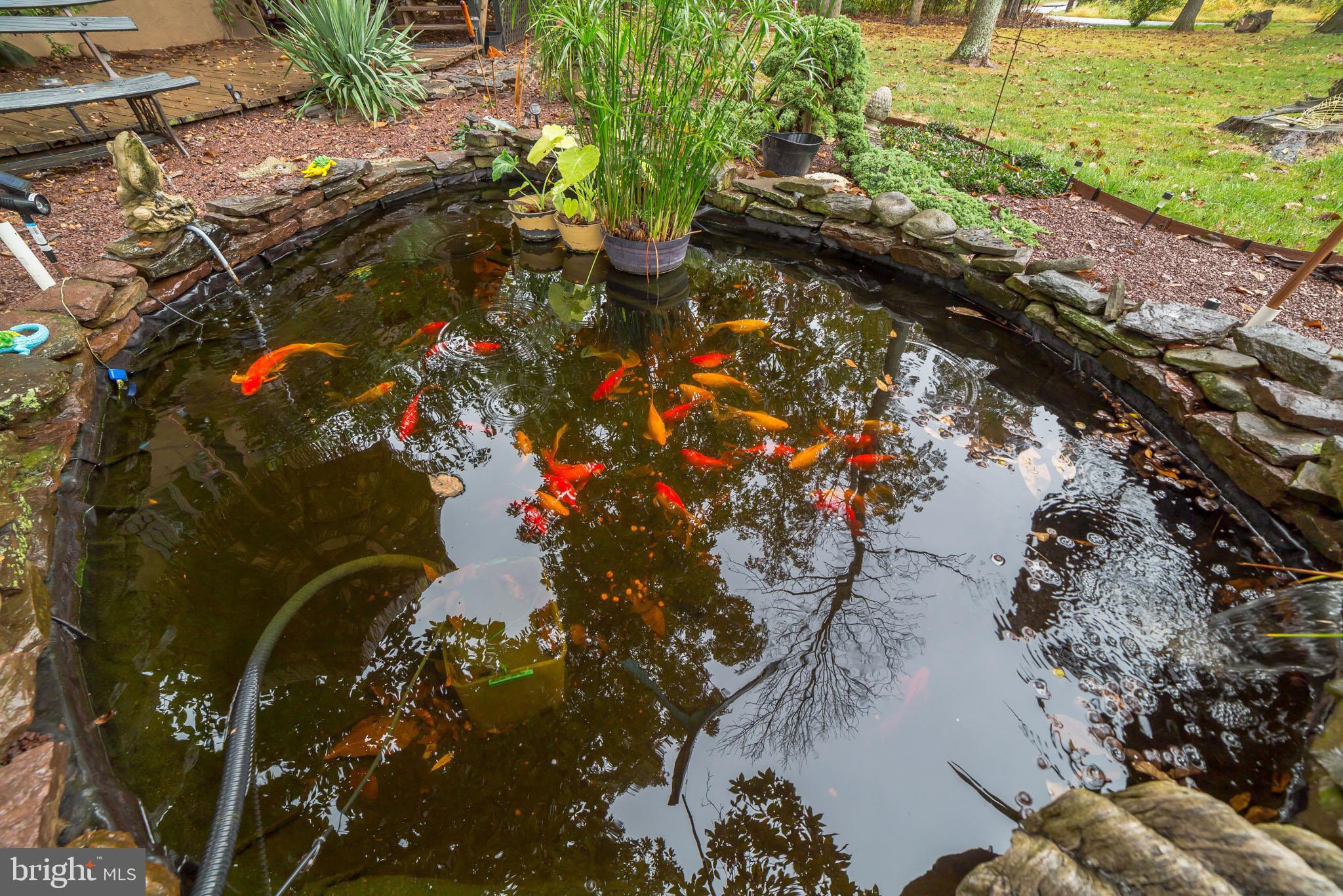 948 Callowhill Road Perkasie, PA 18944 - Photo 28 of 29 a picture of flowers